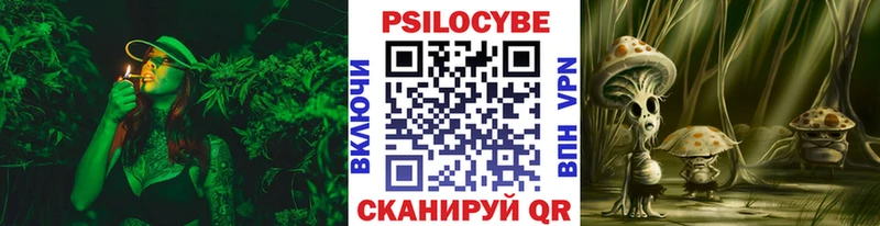 Псилоцибиновые грибы GOLDEN TEACHER  наркота  Петропавловск-Камчатский 
