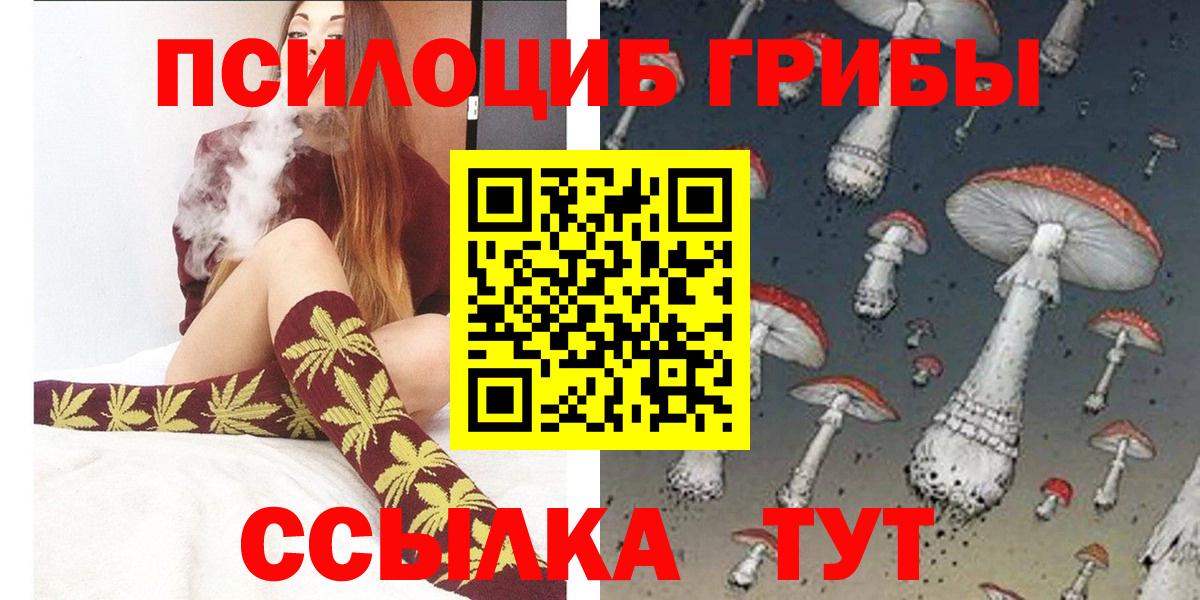 Псилоцибиновые грибы Psilocybe Петропавловск-Камчатский