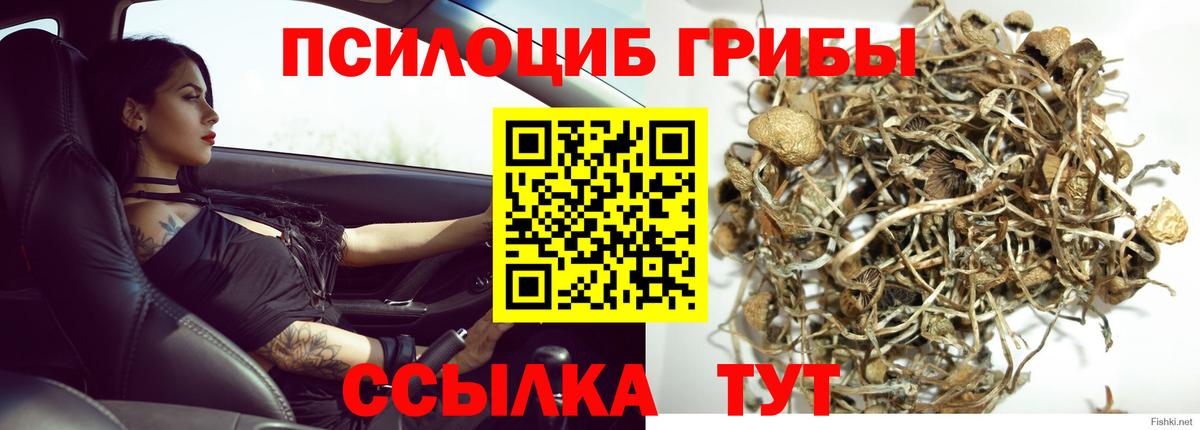 Петропавловск-Камчатский  Псилоцибиновые грибы мухоморы  цена   Вход с VPN 